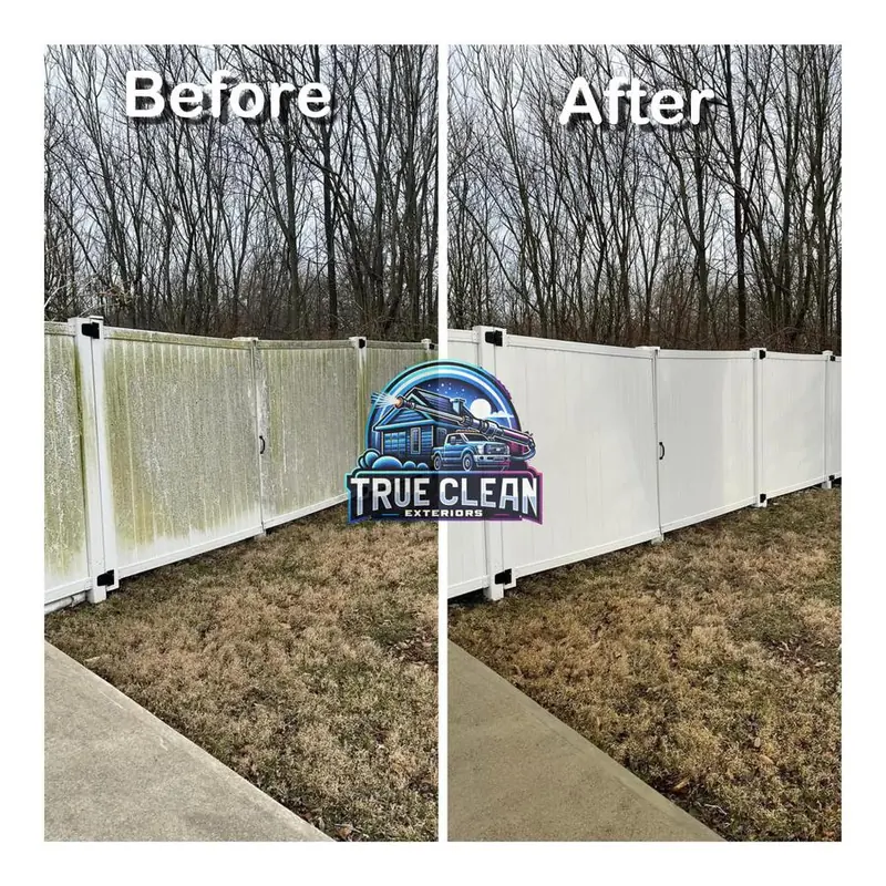Fence Cleaning