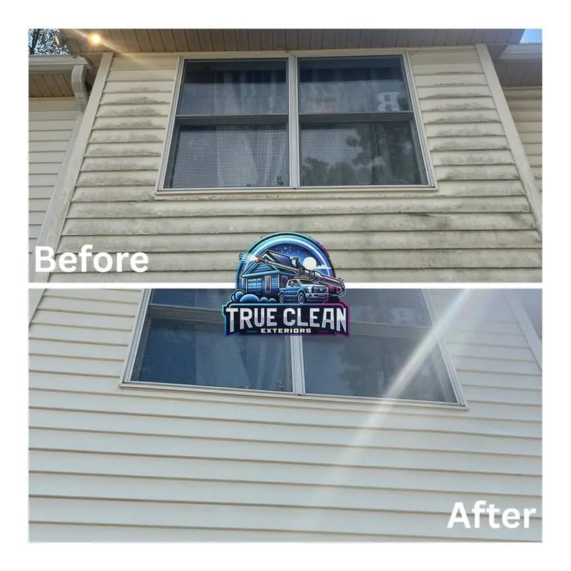 House exterior wash